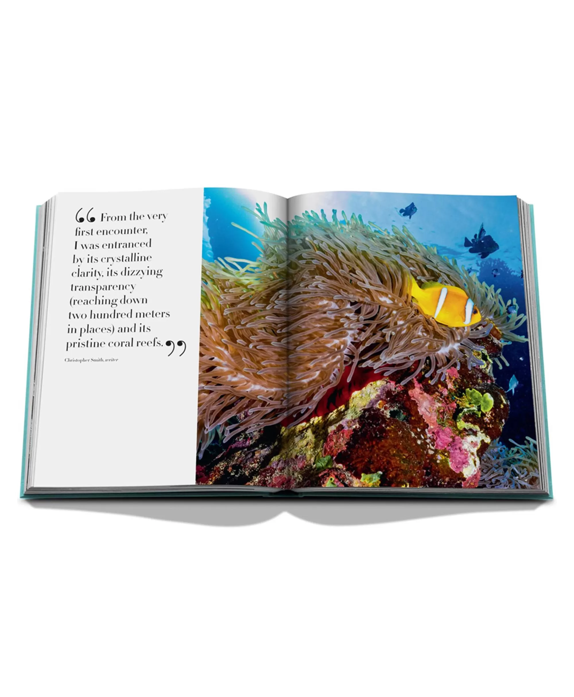 Assouline Lifestyle Collection: Libro Fotografico 
