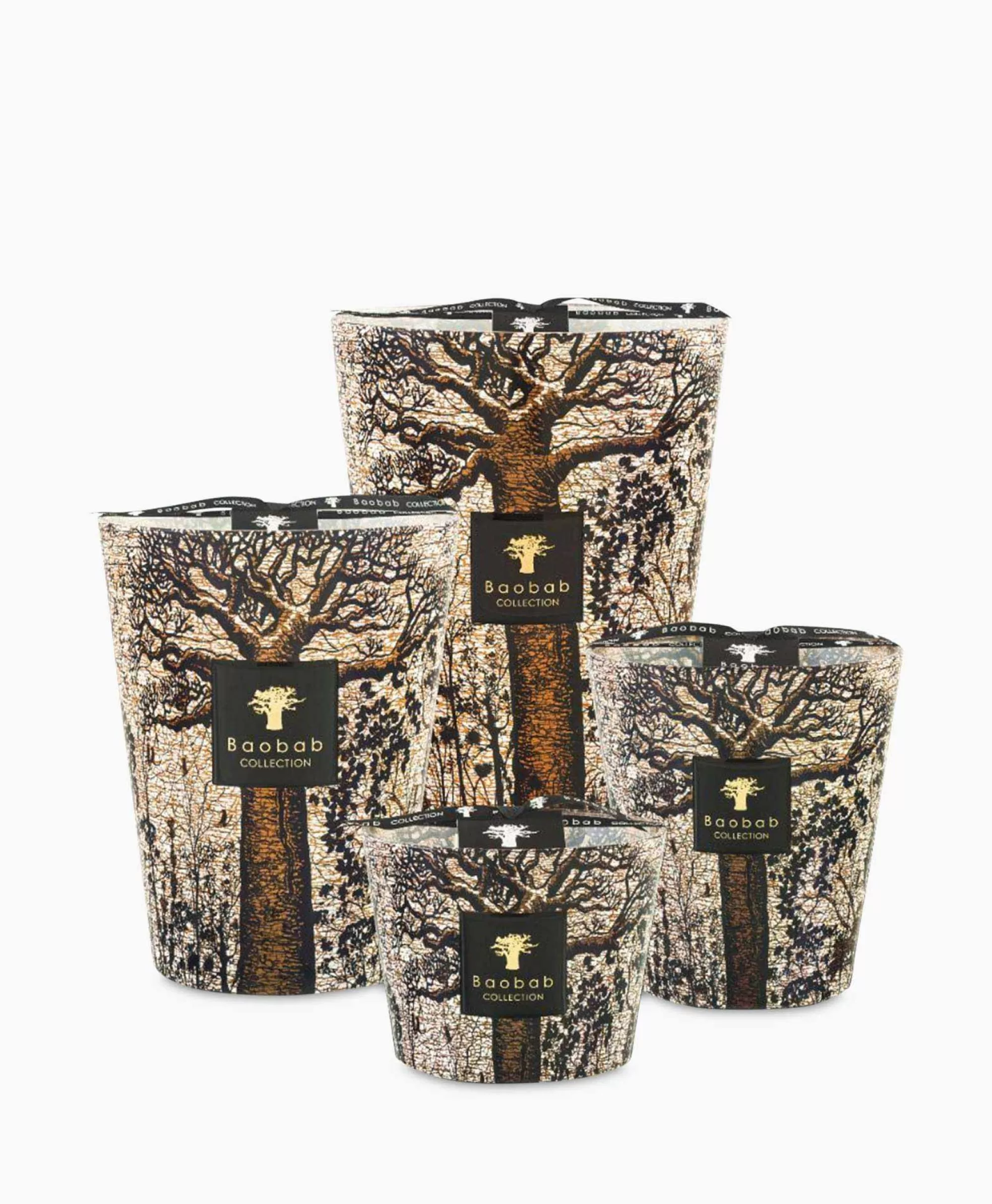 Morondo Candela Artigianale 'Alberi Sacri' - Edizione Limitata Baobab con Essenza Spirituale e Aromi Naturali per la Casa Ispirata alla Natura