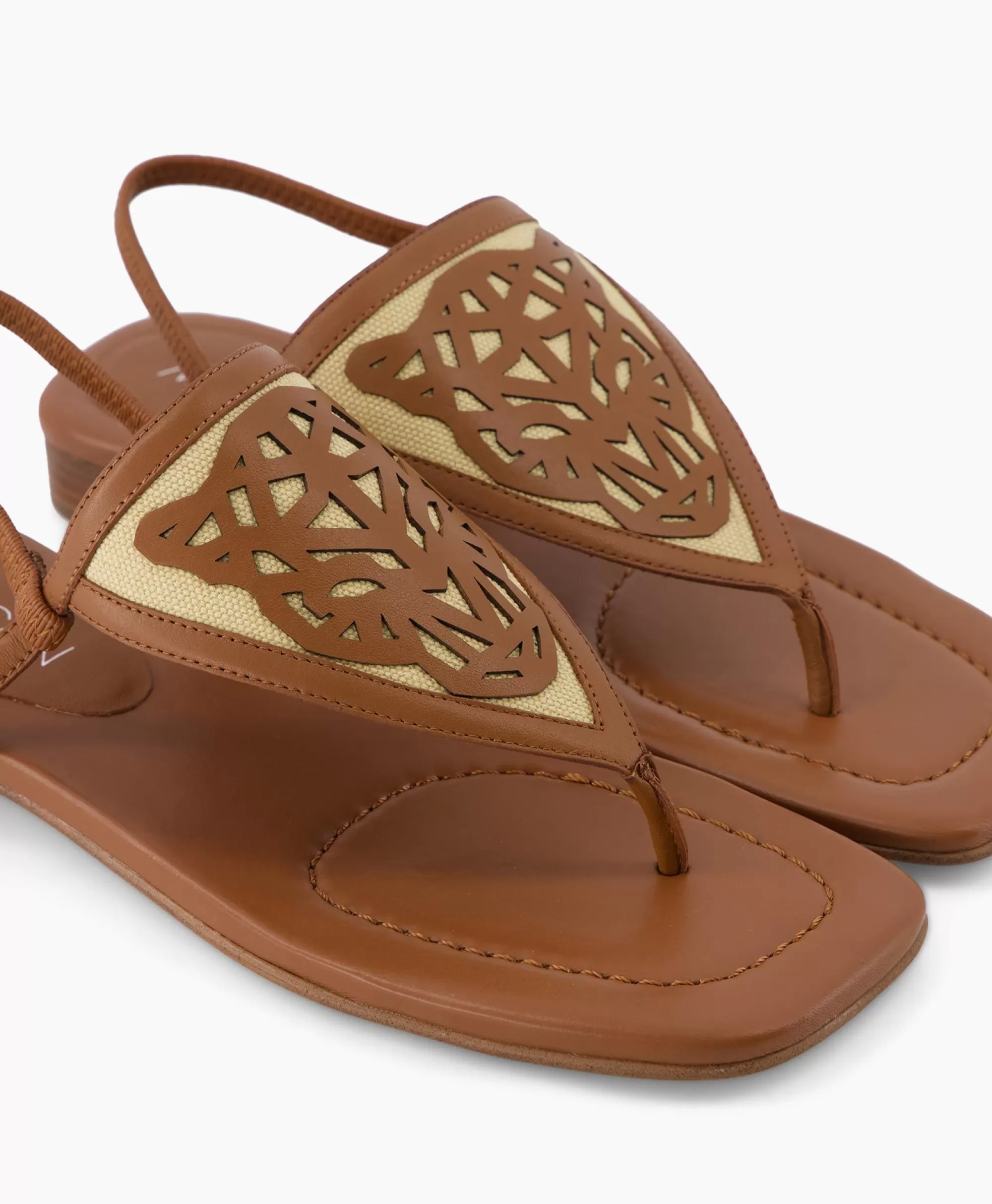Sandali Marccain Stile Casual - Modello Tas WB SG.15 W03 in Marrone Scuro per Borse e Scarpe Autunnali