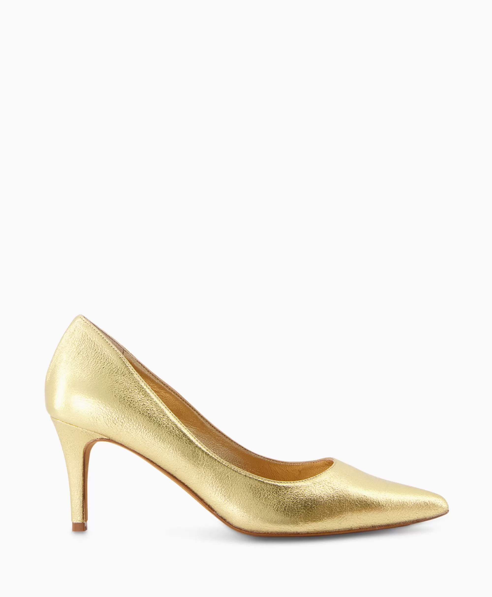 Pompe Professionali Toral Serie TL-Vero Oro - Soluzioni Idrauliche Premium per Edilizia e Industria