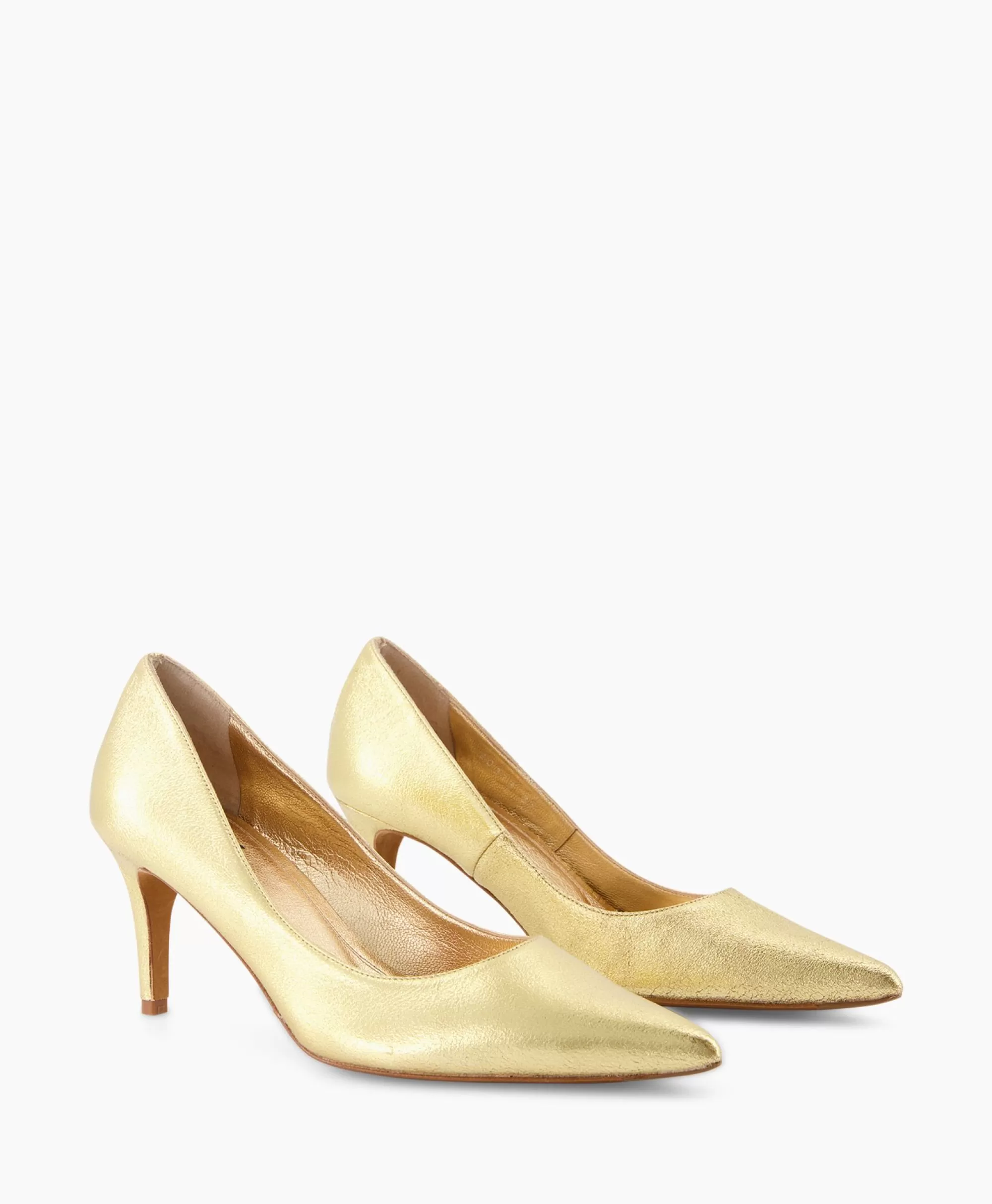 Pompe Professionali Toral Serie TL-Vero Oro - Soluzioni Idrauliche Premium per Edilizia e Industria